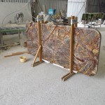 RAINFOREST table